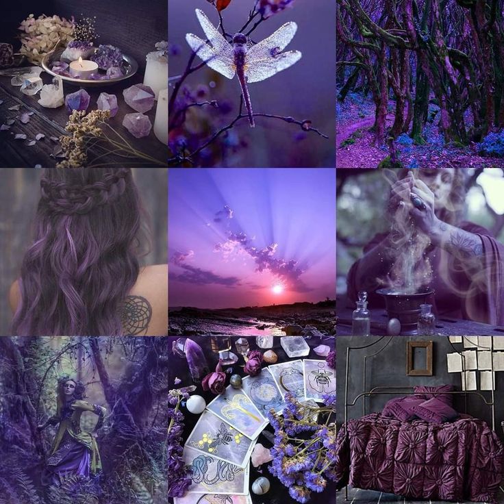 a collage of photos with purple hues, flowers and other things in them