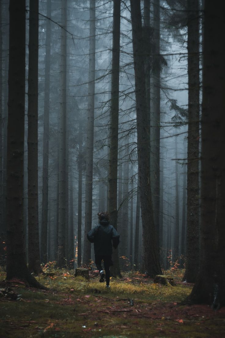 a person running through the woods on a foggy day