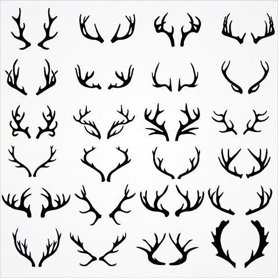 the silhouettes of deer's antlers are drawn in black on white paper