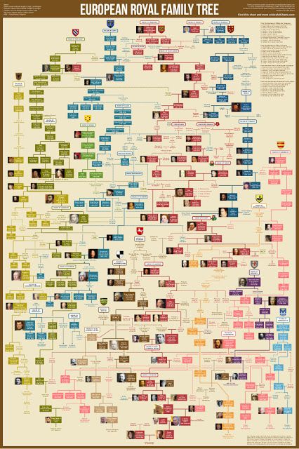 the european royal family tree poster