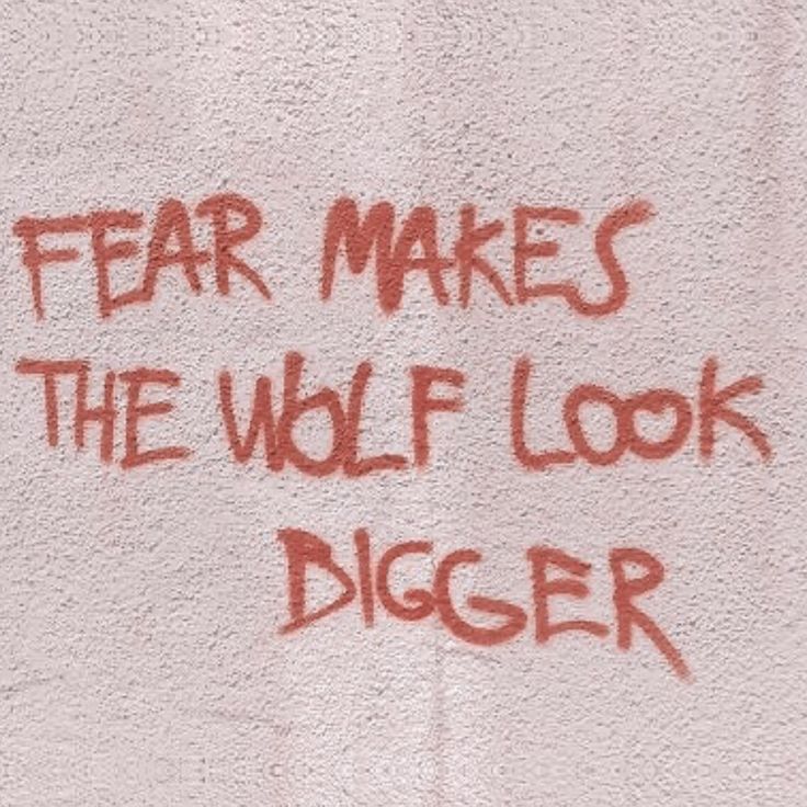 the words fear makes the wolf look bigger written in red on a white wall with graffiti