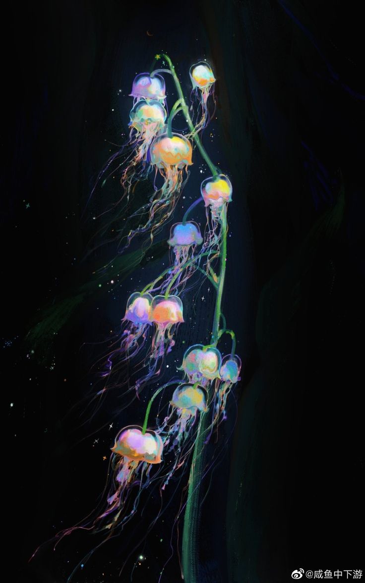 an image of jellyfish in the dark