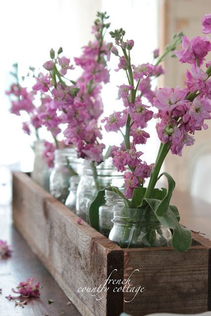 several mason jars filled with purple flowers sitting on a wooden shelf in front of a window