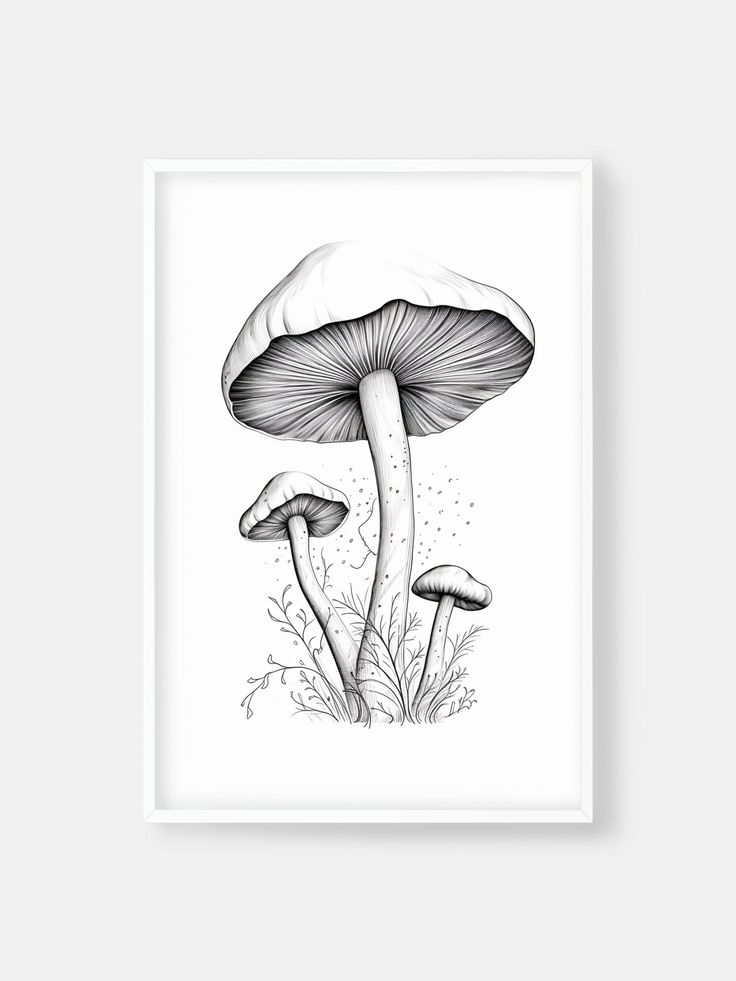 a black and white drawing of two mushrooms