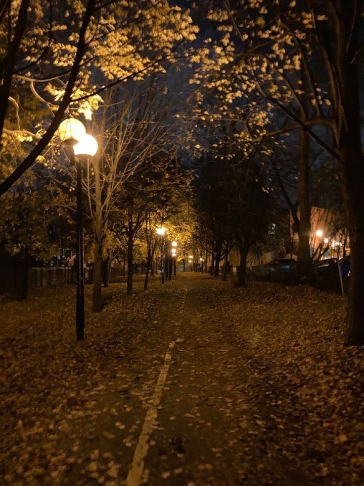 an empty street at night with trees and leaves on the ground