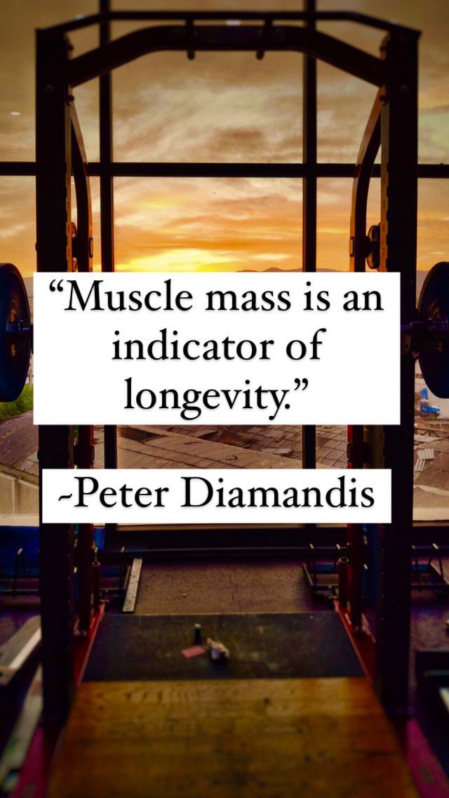 a quote by peter diamond about muscle mass is an indicator of longevity,