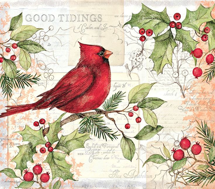 a red bird sitting on top of a tree branch with holly leaves and berries around it