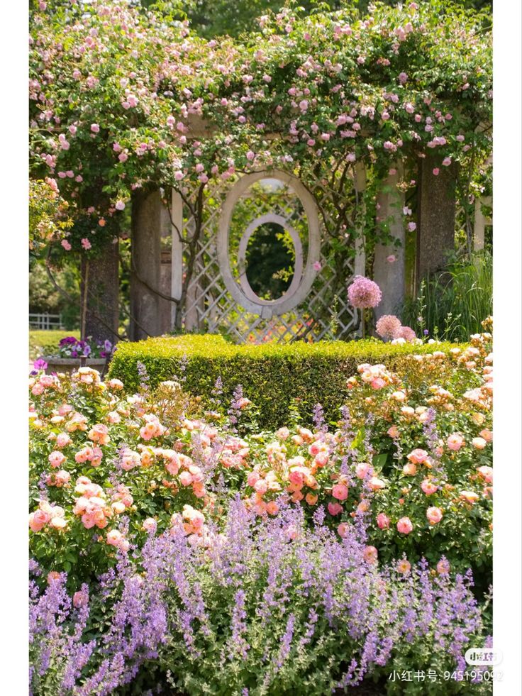 a garden filled with lots of flowers next to a lush green hedge covered in pink and white flowers