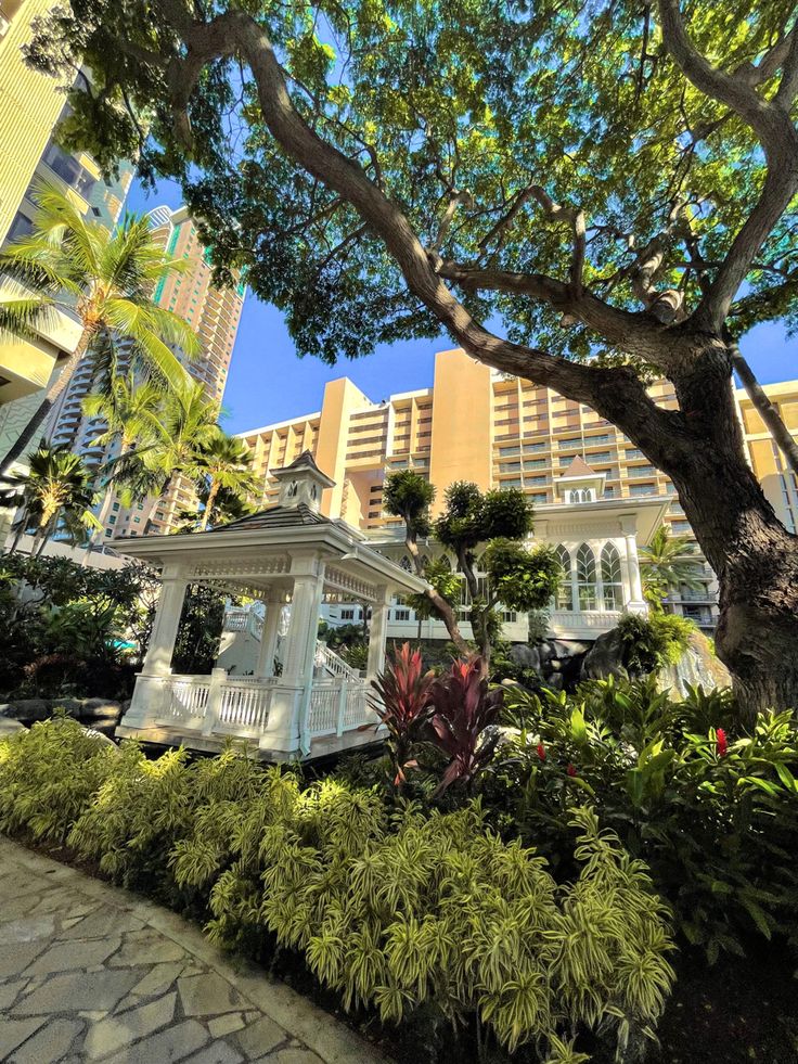 a white gazebo surrounded by lush vegetation and palm trees in front of a hotel