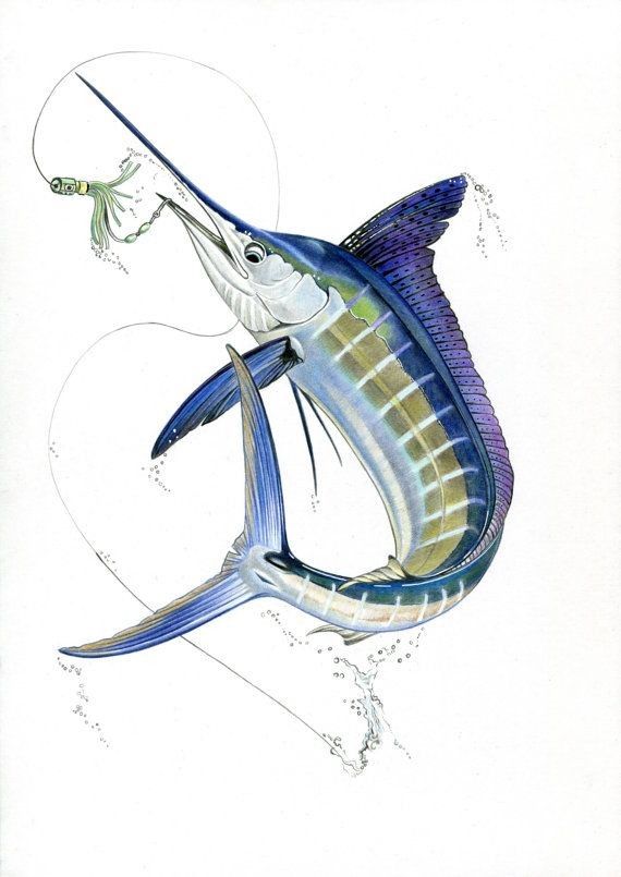 a drawing of a blue marlin fish with a hook in it's mouth