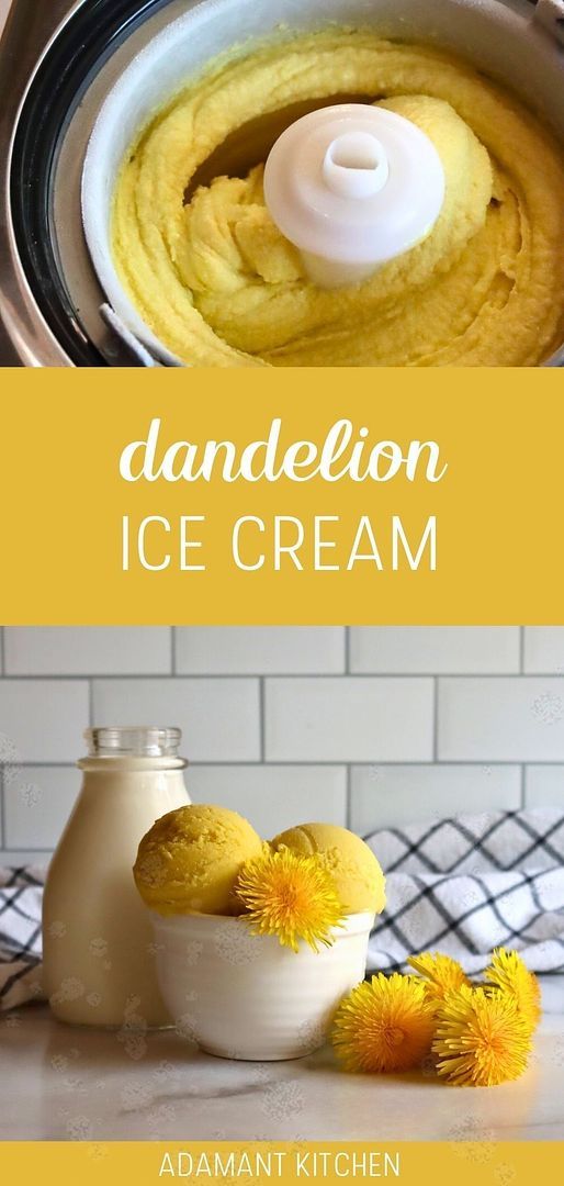 an ice cream recipe in a blender with the words dandelion on it