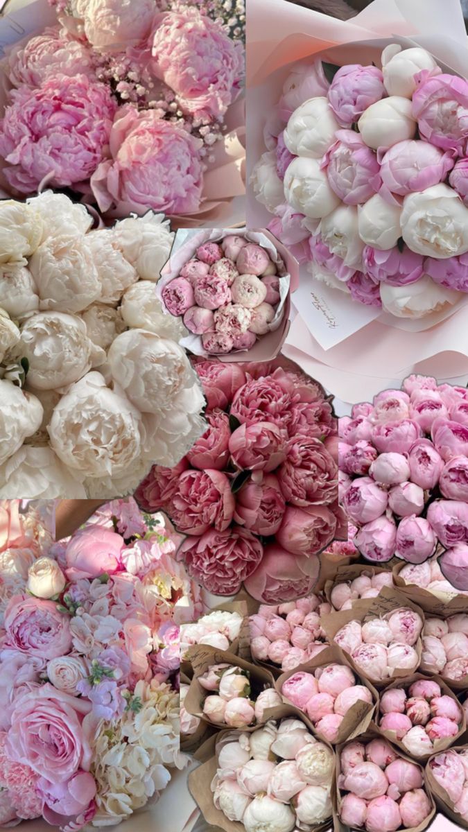 a bunch of pink and white flowers on display