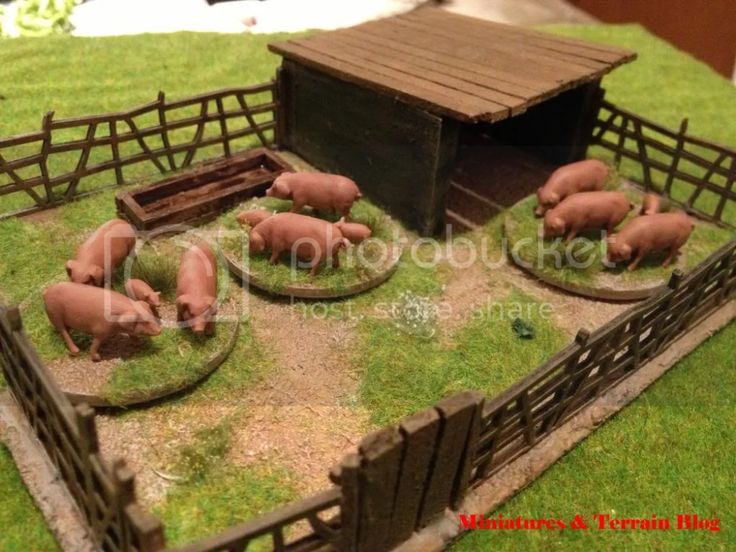 several pigs in a fenced area with green grass and small wooden buildings on the other side