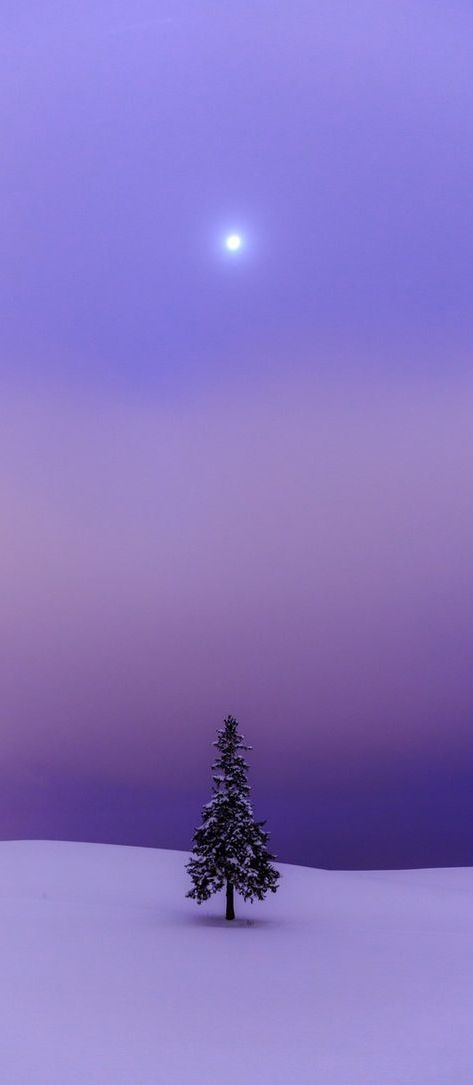 a lone tree in the middle of a snow covered field at night with a full moon behind it