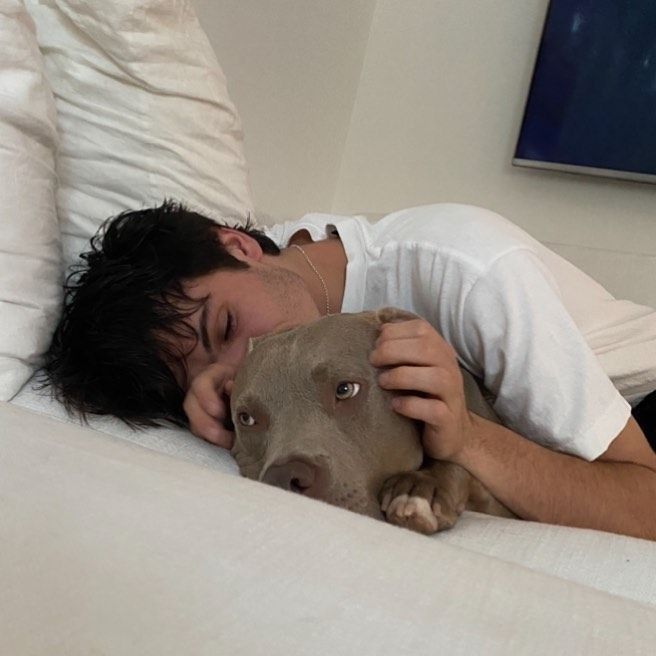 a man laying in bed with his head on a pitbull dog's nose