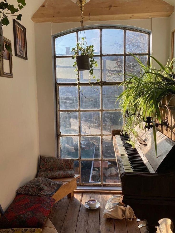 a living room with a grand piano in front of a large window and potted plant