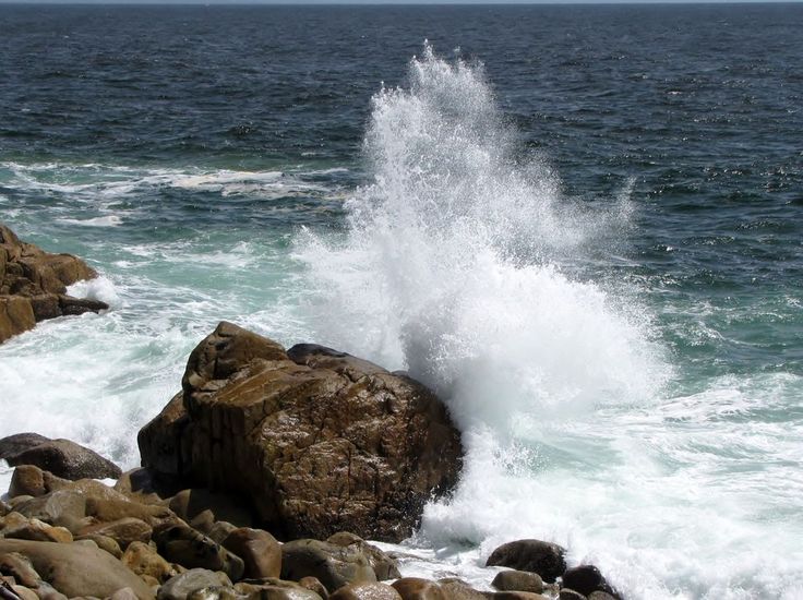 a wave crashes on the rocks near the ocean