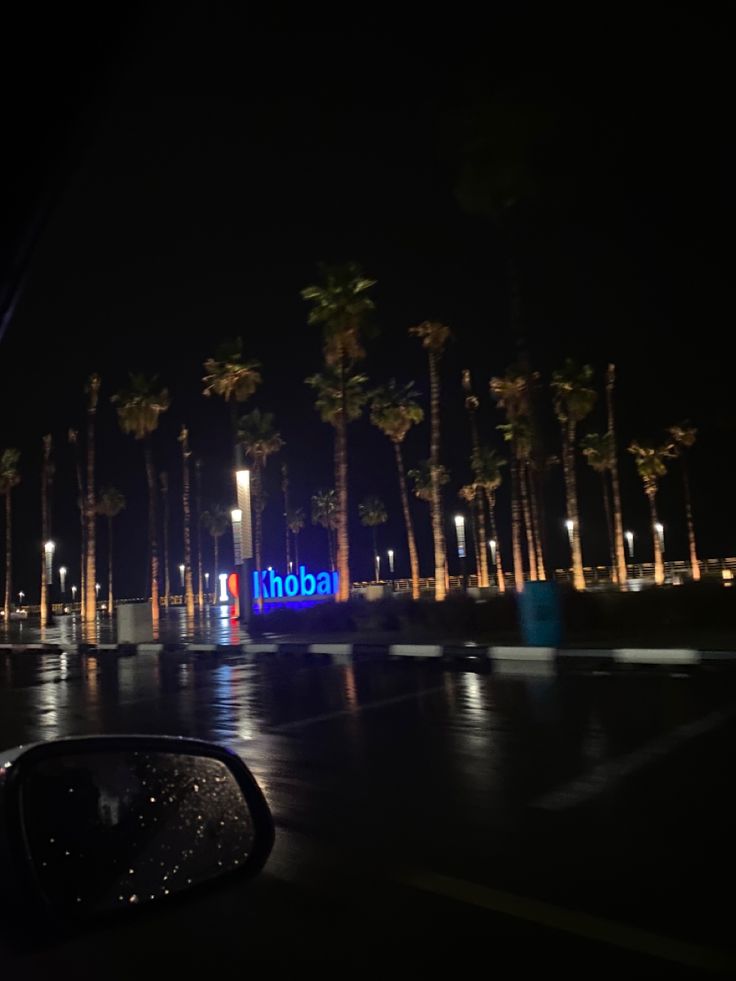 there is a neon sign in the dark with palm trees