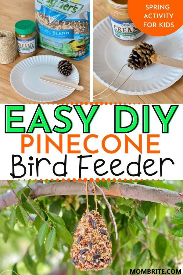 an easy diy pine cone bird feeder for kids