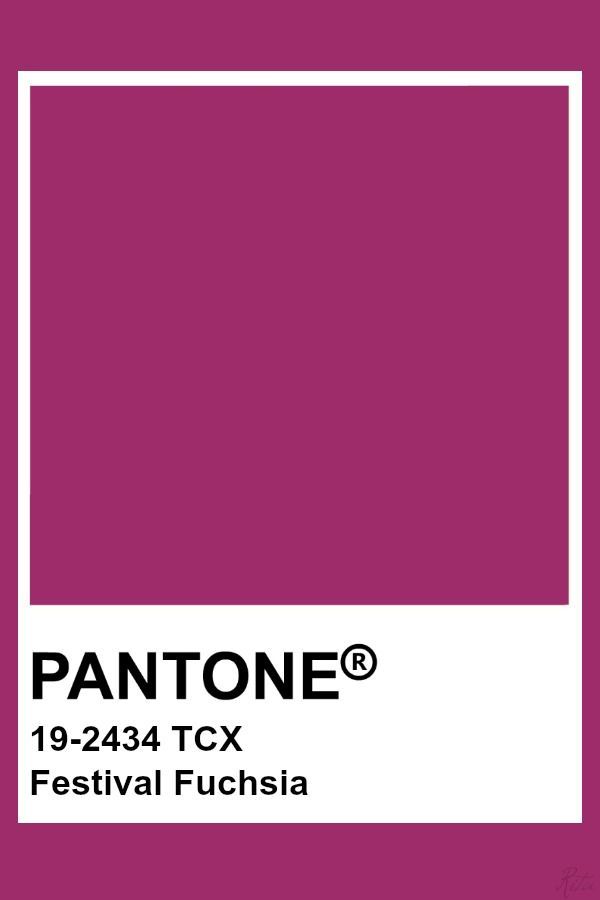 pantone's festival fuchsia color is shown with the text on it