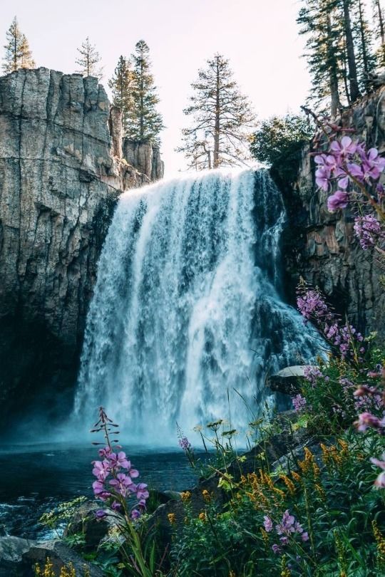 a waterfall with purple flowers in the foreground