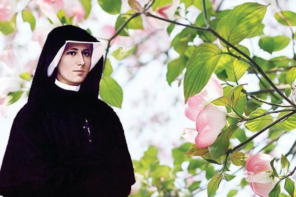 a nun standing in front of pink flowers