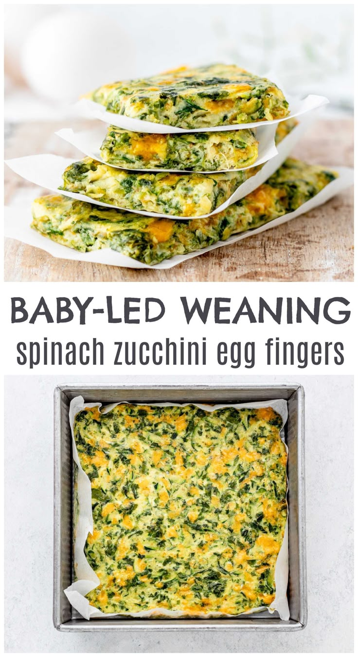 baby - led weaning spinach zucchini egg fingers