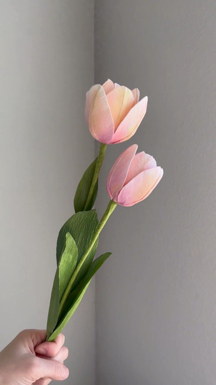 a person holding three pink flowers in their hand