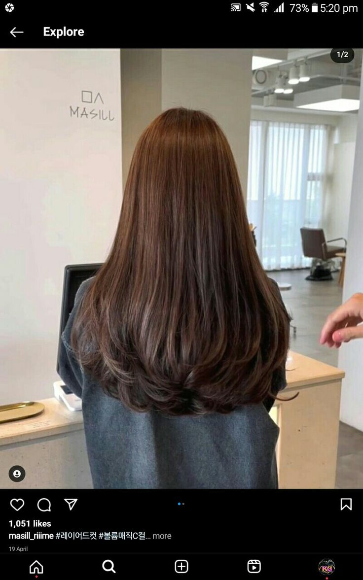 Haircut No Layers Long, Long Hair With Layers Front View, Soft U Shape Haircut, Long Layer U Shape Haircut, Long Connected Layers, Butterfly Layers Straight Hair, Long Brown Hair Ideas, Hair With Long Layers And Face Framing, Long Layers From The Back