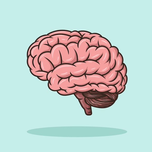 an illustration of a human brain on a light blue background, with the top half showing