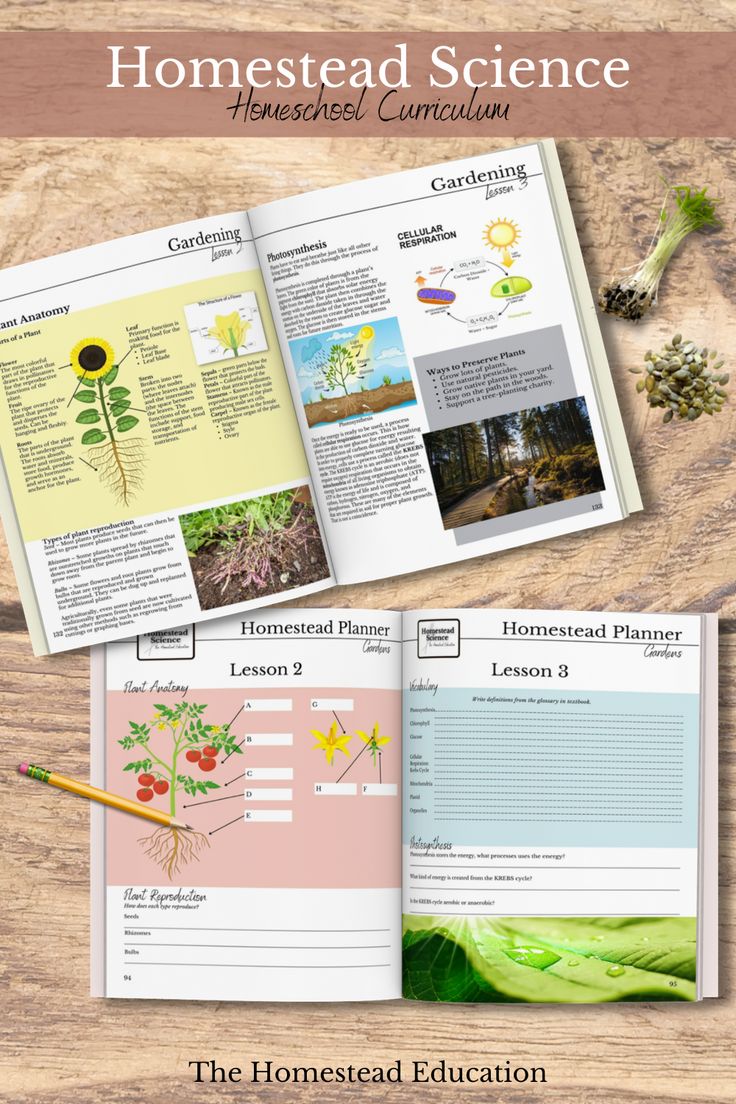 an open book with plants on it and the title, homestead science homeschool curriculum