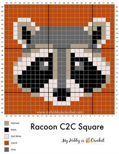 the raccoon cross stitch pattern is shown in orange and black, with an animal's face on it