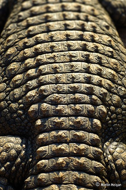 an elephant's head is covered in intricate carvings