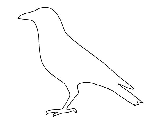 a black and white drawing of a bird