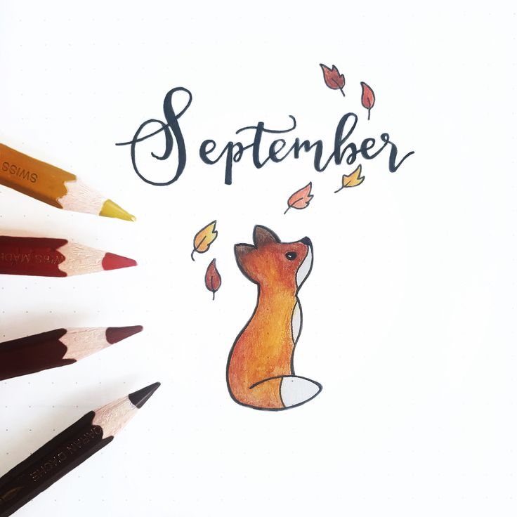 a drawing of a fox with the words september above it and pencils in front of it