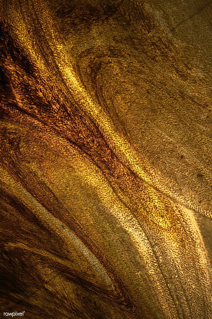 an elephant's head is shown in this artistic photograph, with gold paint on it