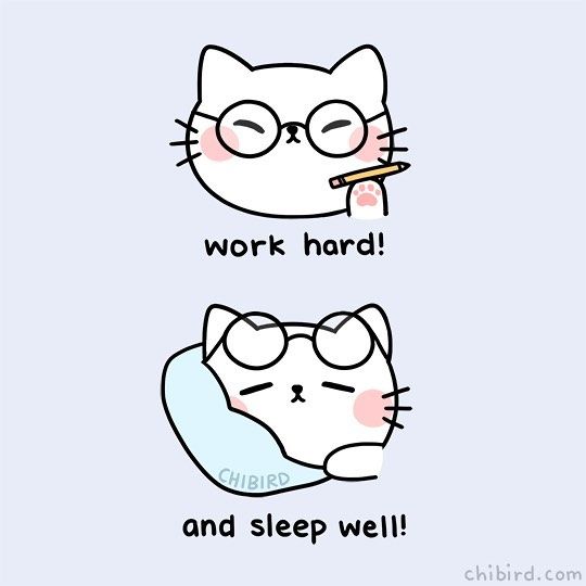 two cats with glasses and the words work hard and sleep well