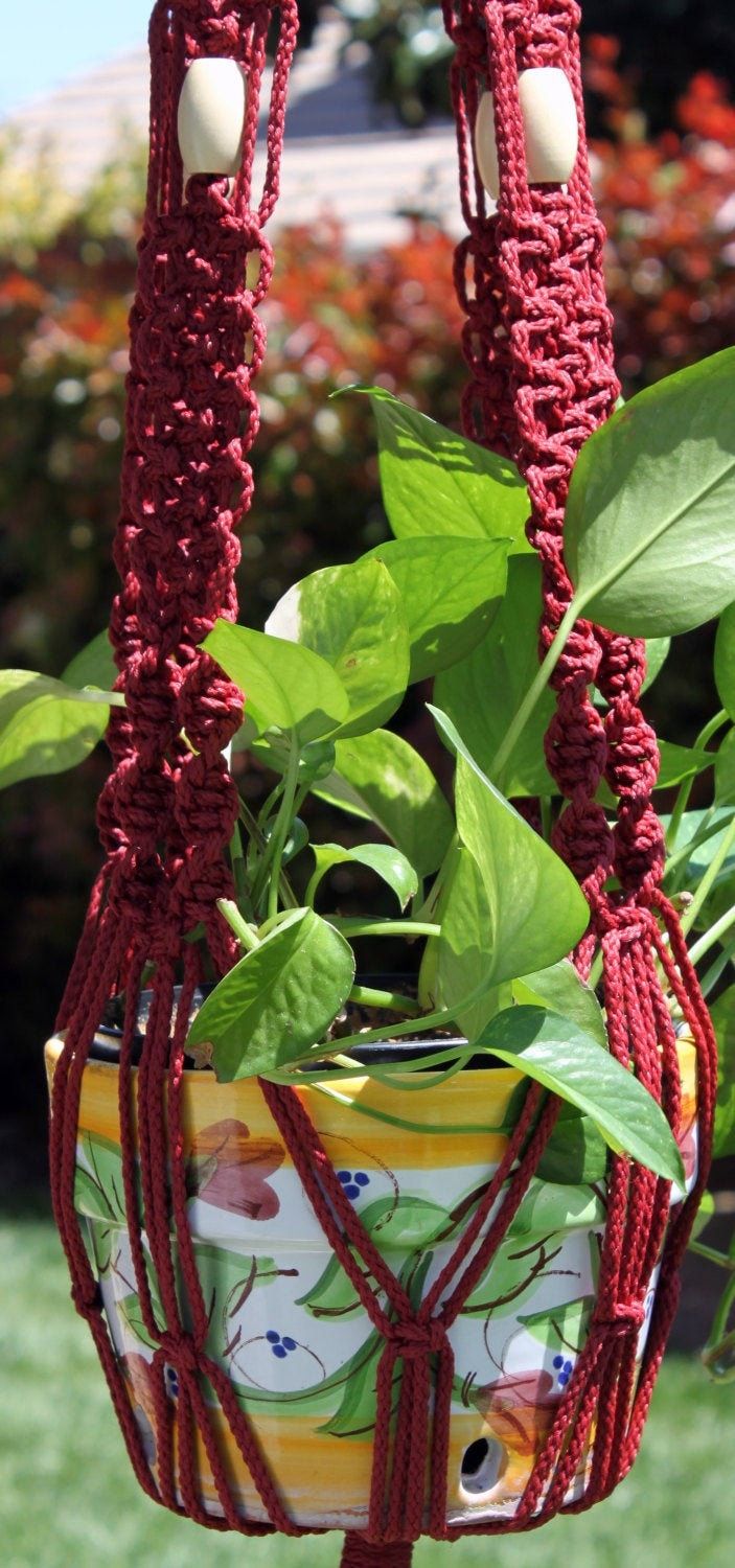 a potted plant hanging from a red rope