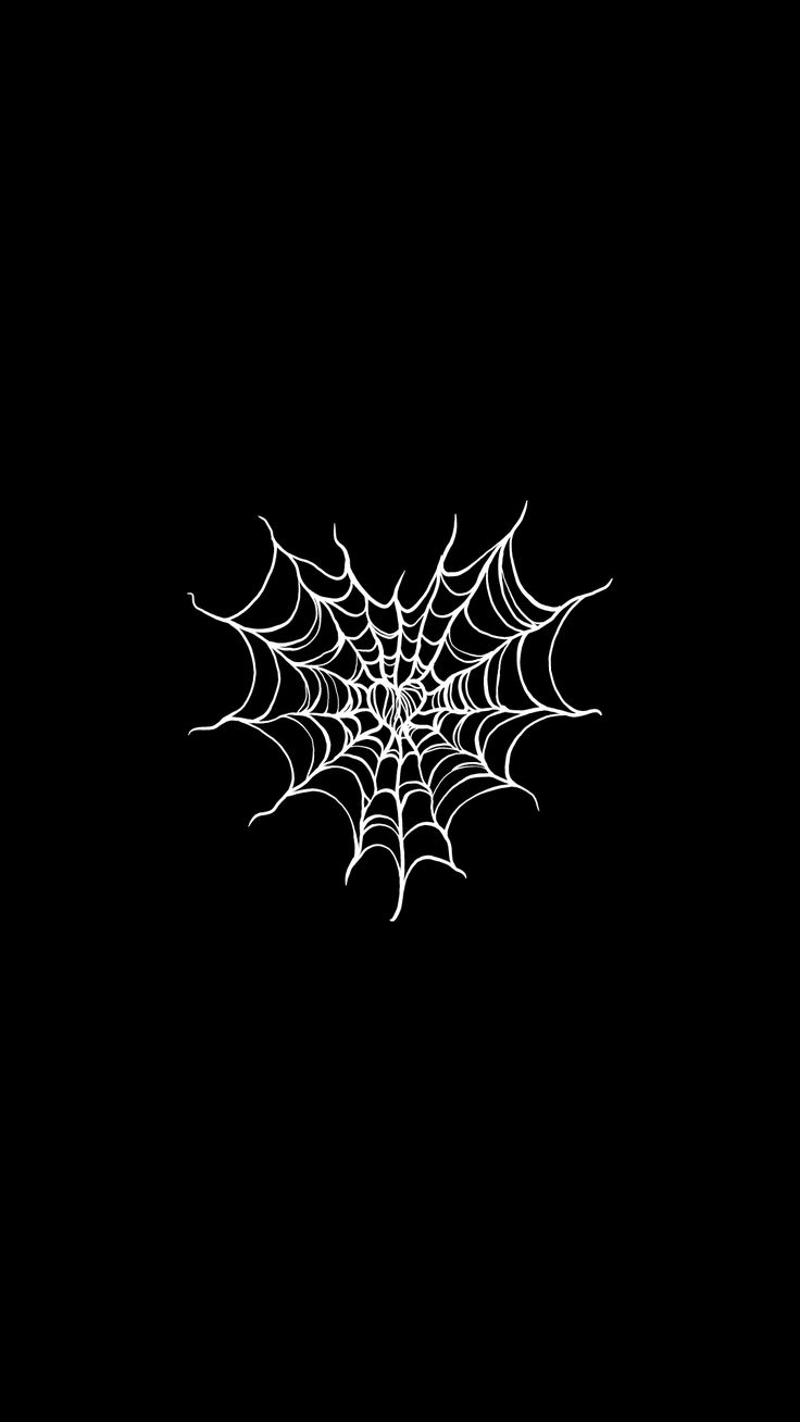 a spider web on a black background