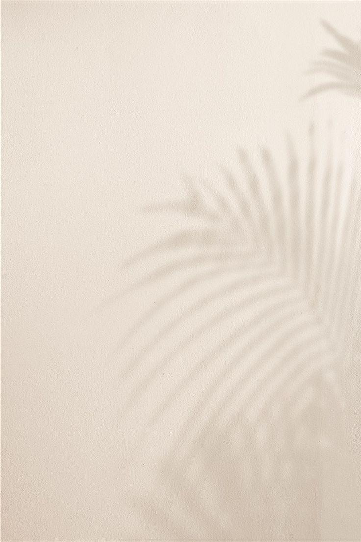 the shadow of a palm tree is cast on a white wall with a light colored background