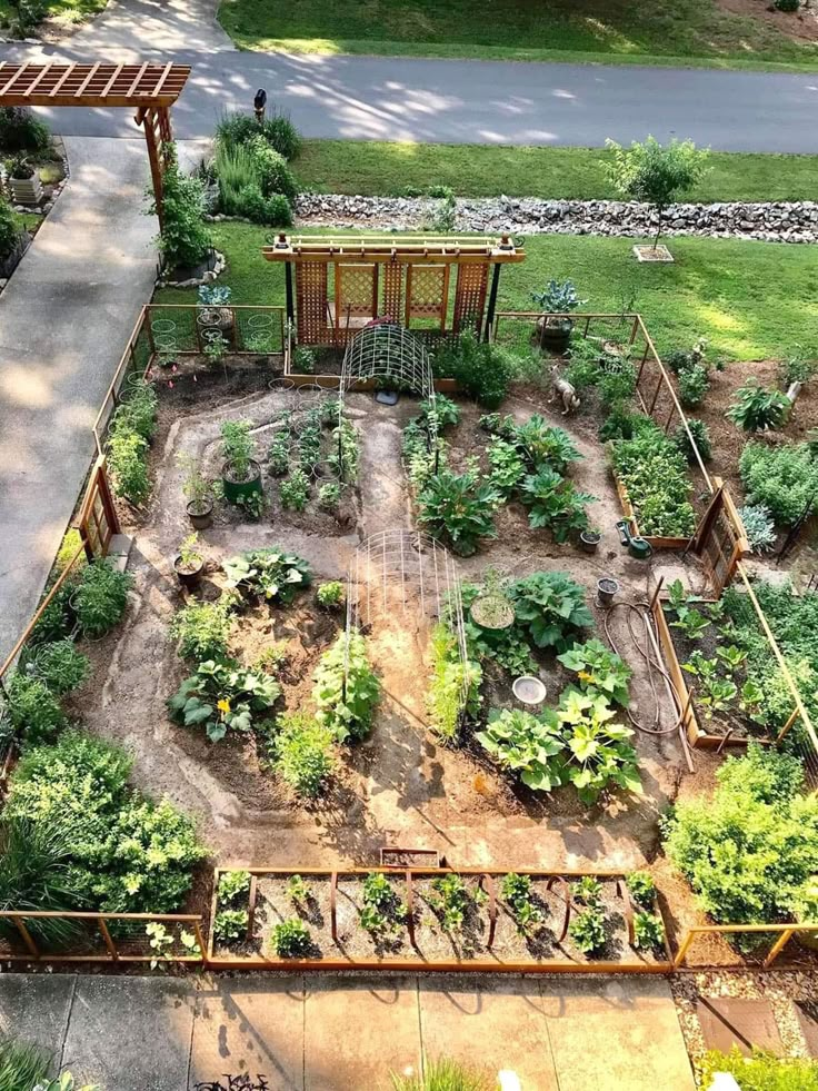 an aerial view of a garden with lots of plants