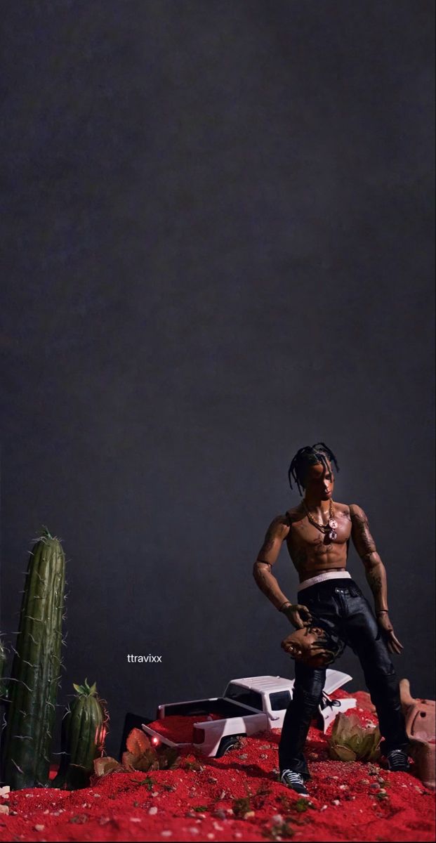 a man standing on top of a red blanket next to a cactus and cacti