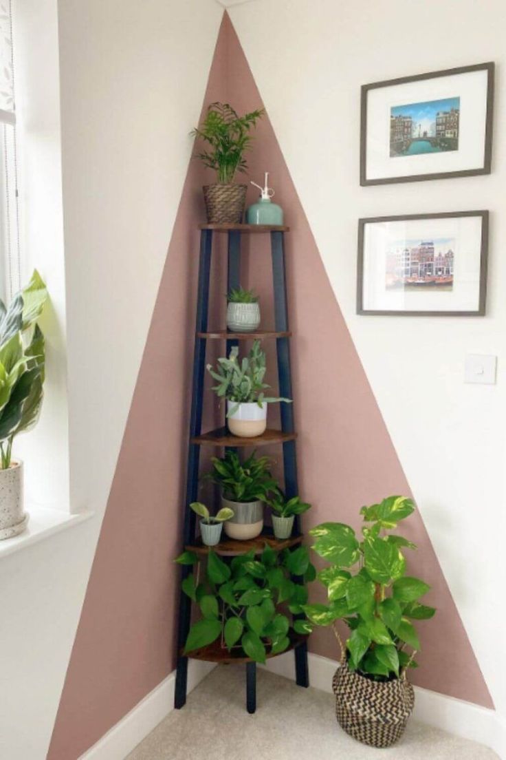 a corner shelf with potted plants on it in front of a pink and white wall