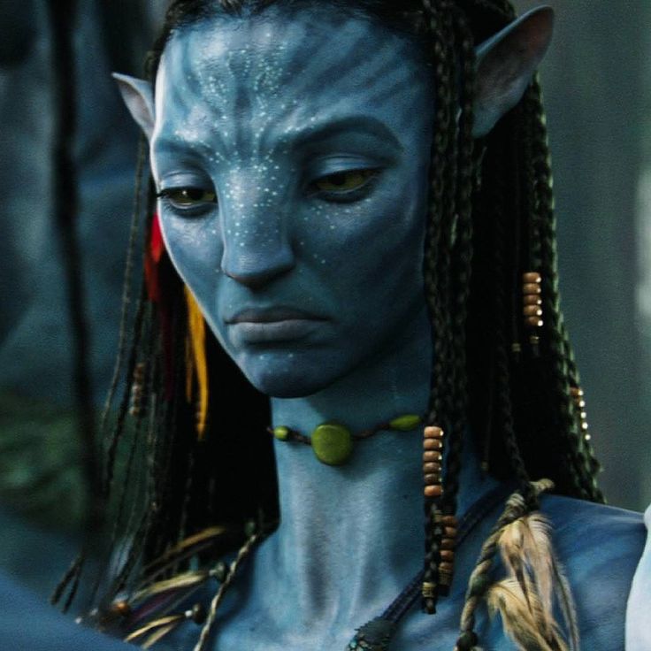 a woman with blue makeup and long braids wearing an elf costume in the movie avatar