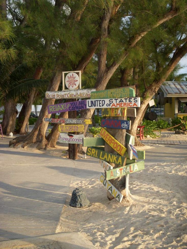 a bunch of signs that are in the sand by some tree's and bushes