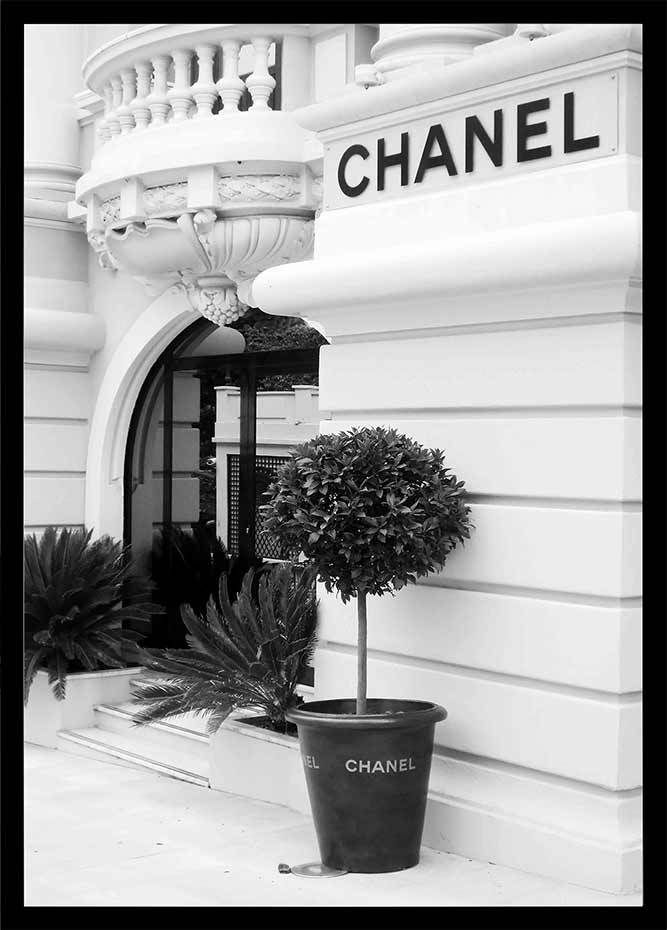 a black and white photo of a chanel store with potted plants in front