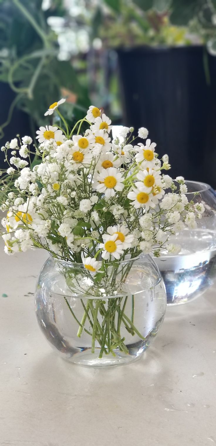 a vase filled with white and yellow flowers