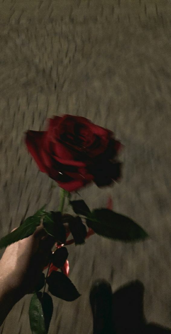 a person holding a red rose in their left hand on the ground with cobblestone