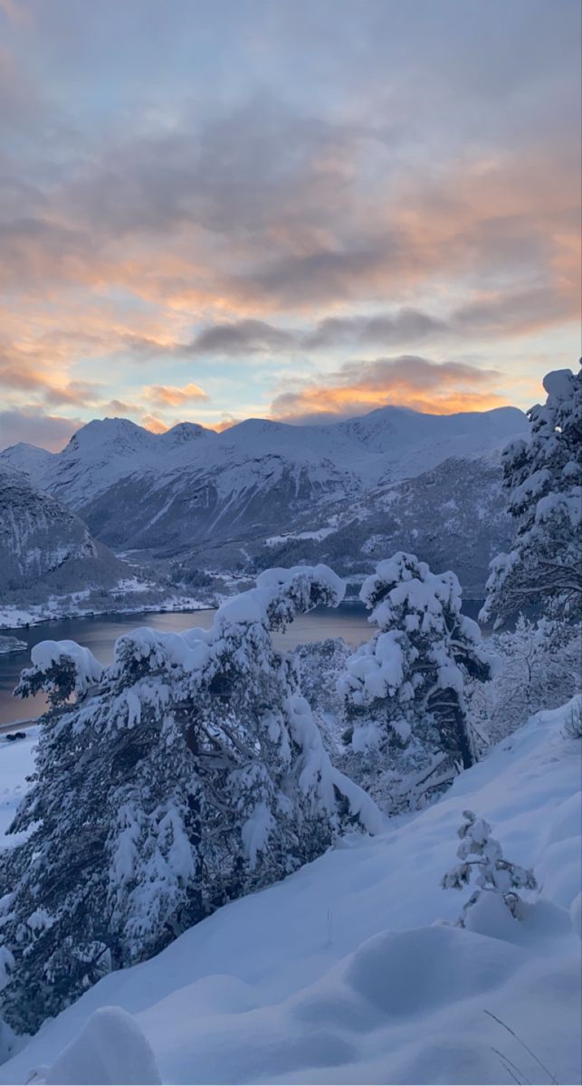 snow covered trees and mountains in the distance with a lake at the far end under a cloudy sky