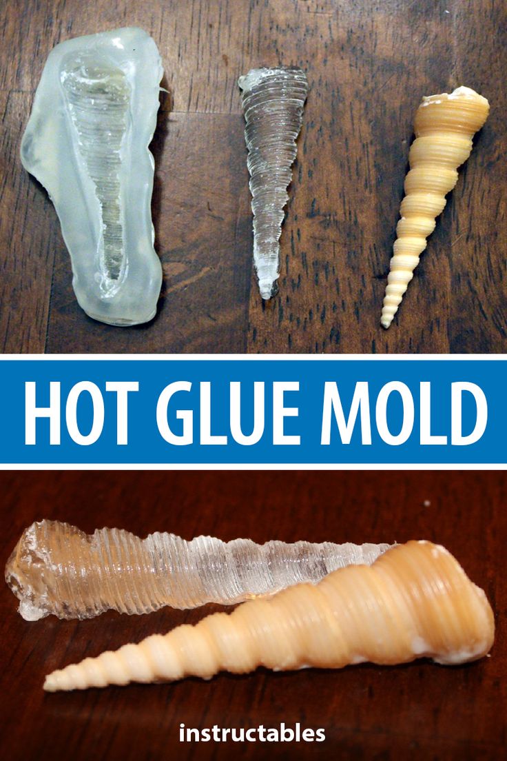 four different types of sea shells on a wooden table with the words hot glue mold